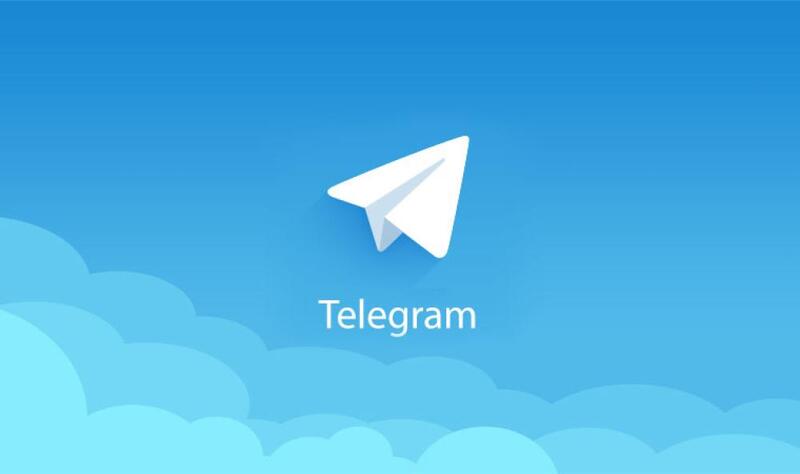 Bạn có thể liên hệ qua Telegram